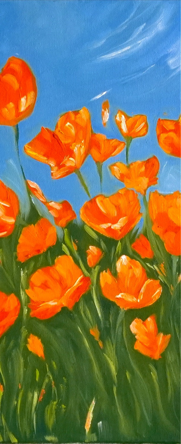 Close-up of SUNLIT POPPIES by Mahsa Gee